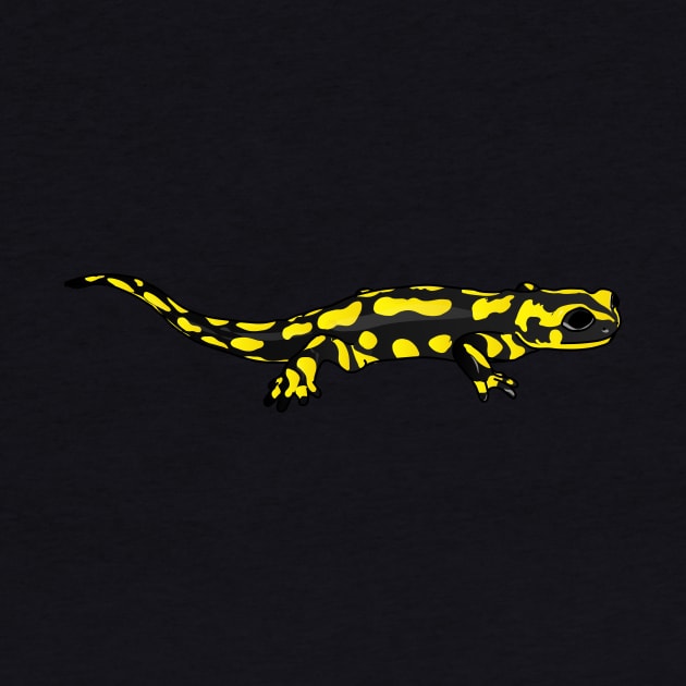 Salamander (Amphibian) by FabuleusePlanete